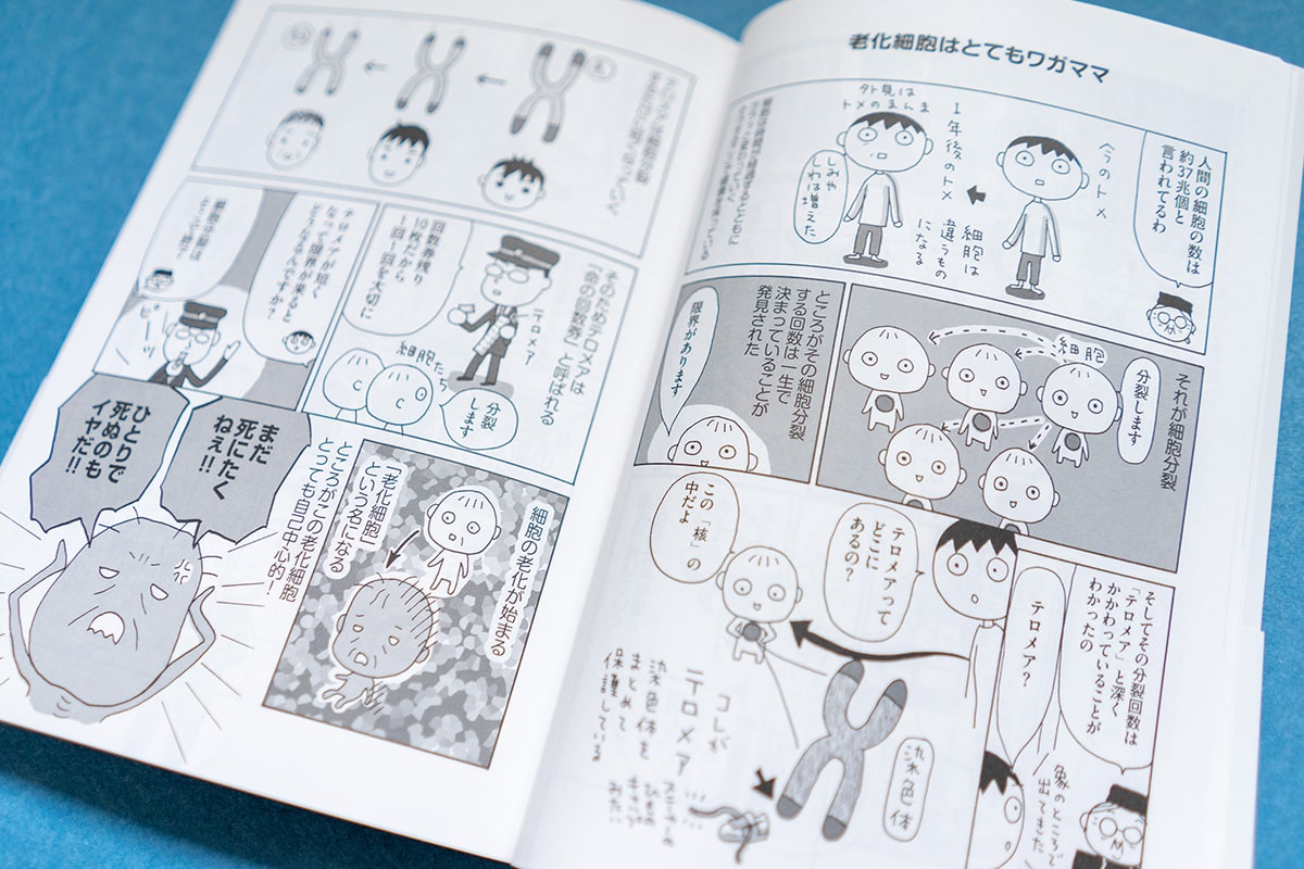 老いる自分をゆるしてあげる 中ページ